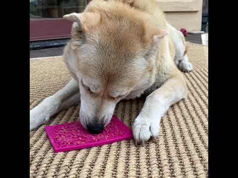 Sodapup Enrichment Lick Mats for Cats and Dogs - Howl