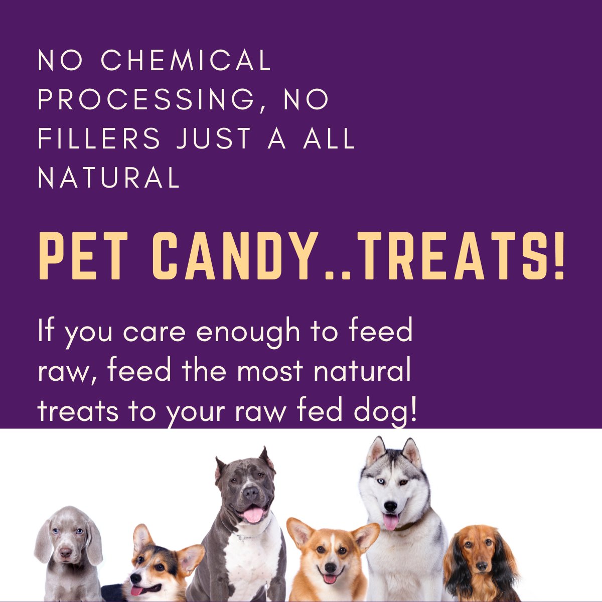 TREATS All-Natural Pet Treat Maker Pet Candy