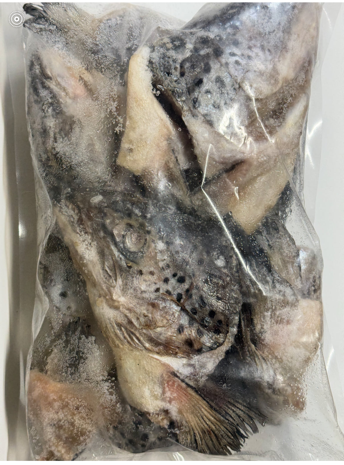 Salmon Heads Whole Raw Frozen