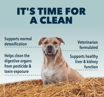 FOUR LEAF ROVER Liver & Kidney Clean