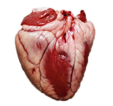 Lamb Heart, Whole