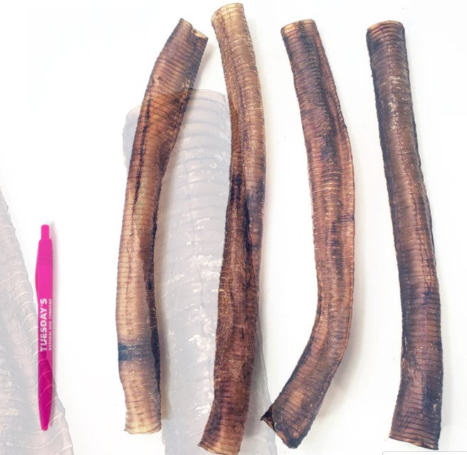 Ostrich Trachea * Dehydrated Treats