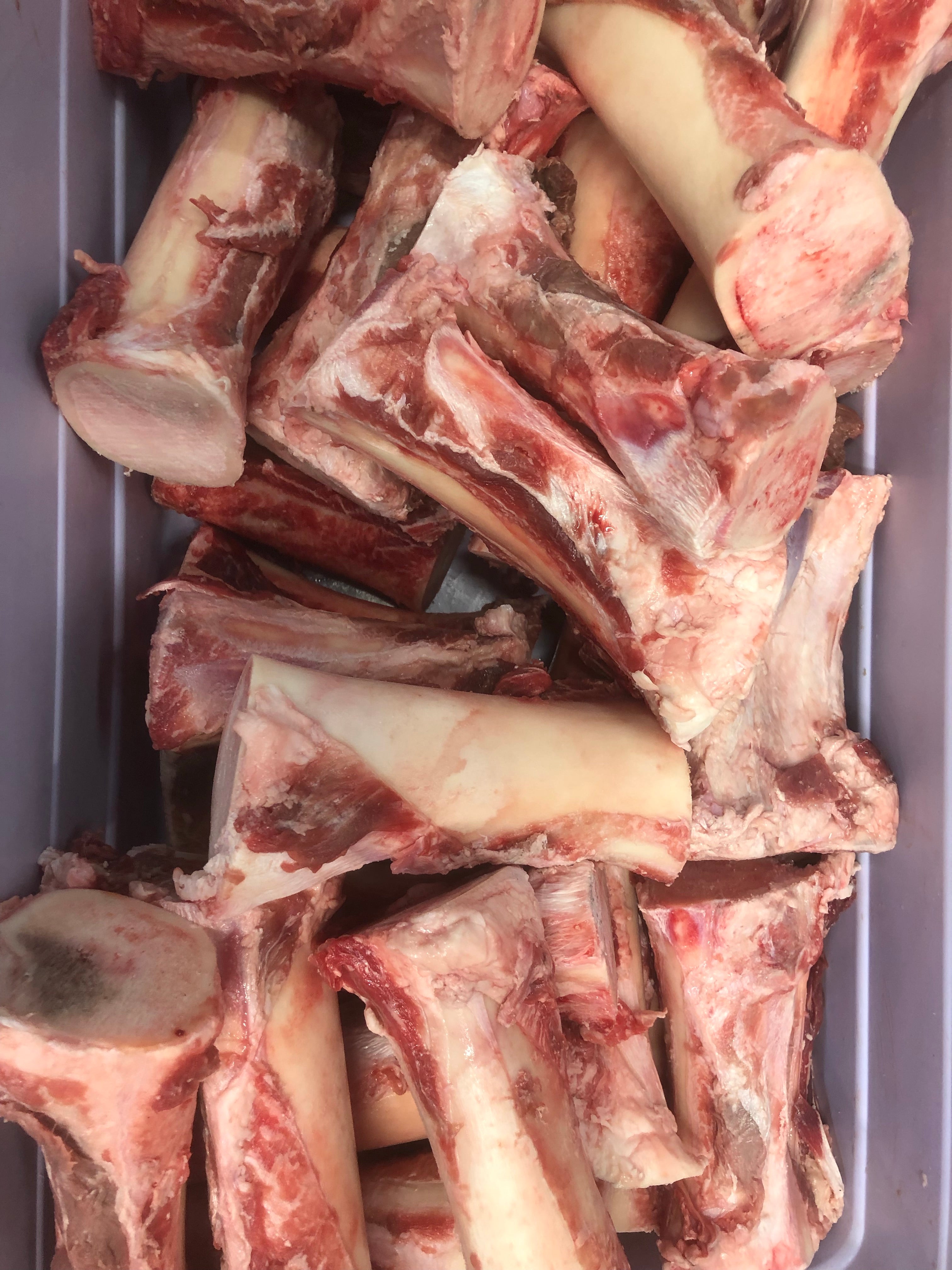 Beef Femur Bones *2 Sizes Available*