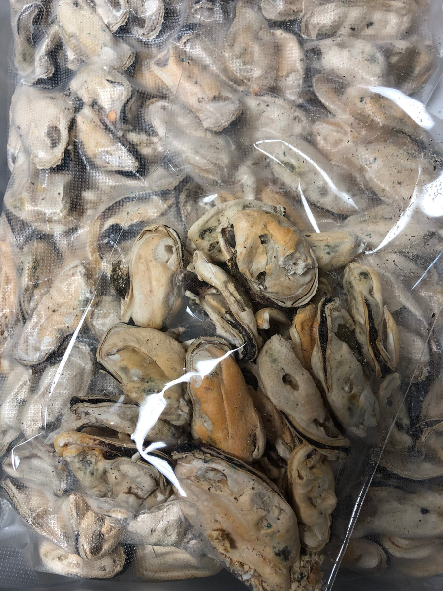 Freeze Dried New Zealand Green Mussels – rawpetfooddeliverymarket